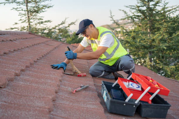 Best Roof Waterproofing Services  in Berkley, MI